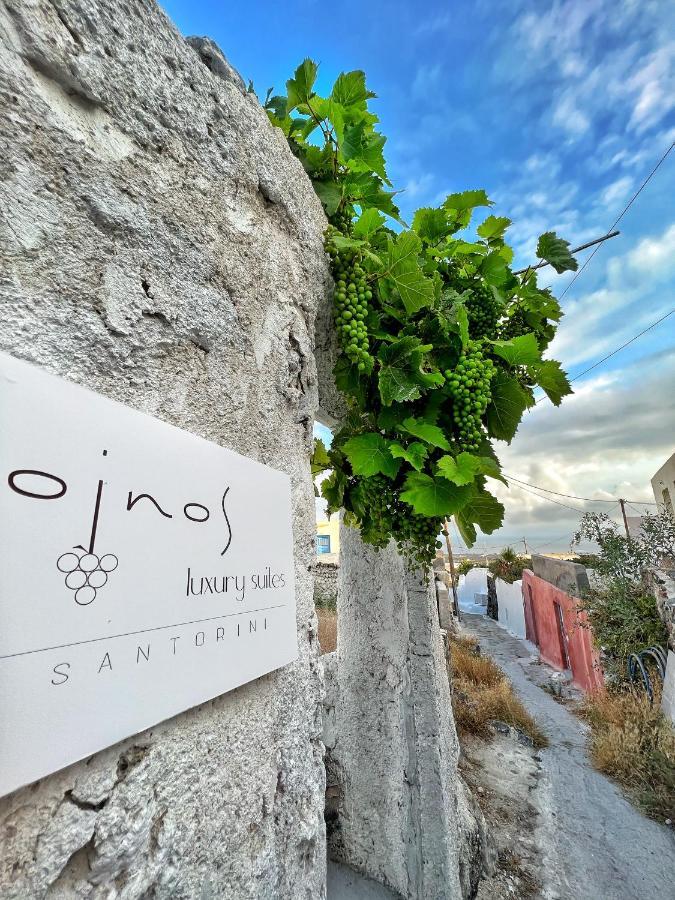 Oinos Luxury Suites Foinikiá المظهر الخارجي الصورة